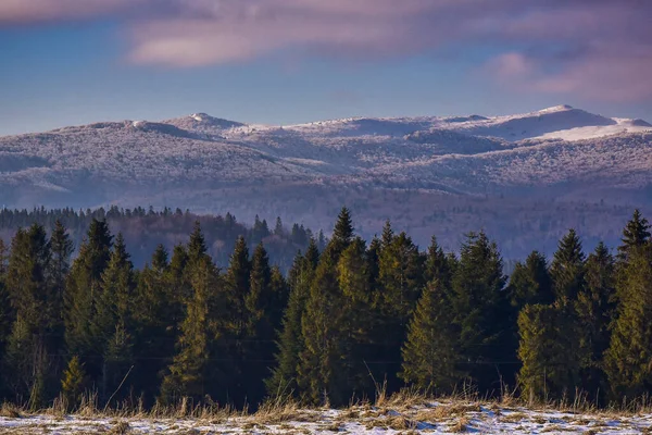 Vinter Karpaterna — Gratis stockfoto