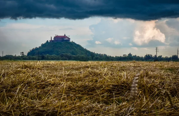 Літо Карпатах — Безкоштовне стокове фото