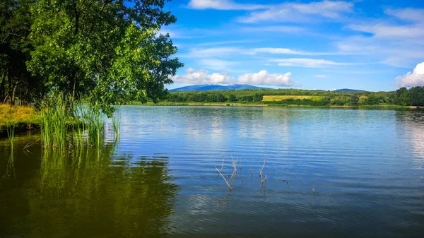 Літнє Озеро Закарпатті — стокове фото