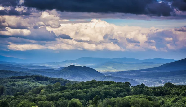 Summer Carpathians — Stock Photo, Image