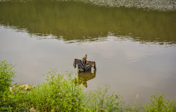Transcarpathia 'daki Yaz Gölü