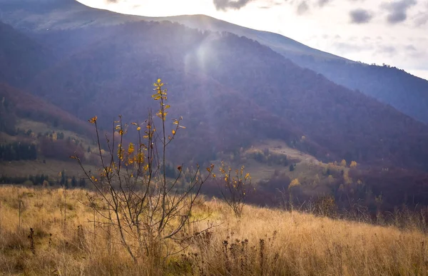 Peisaje Din Munții Carpați Toamnă — Fotografie, imagine de stoc