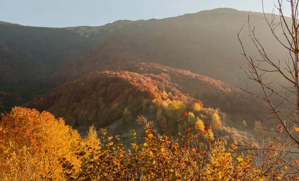 Güz Karpatları 'nın Manzaraları