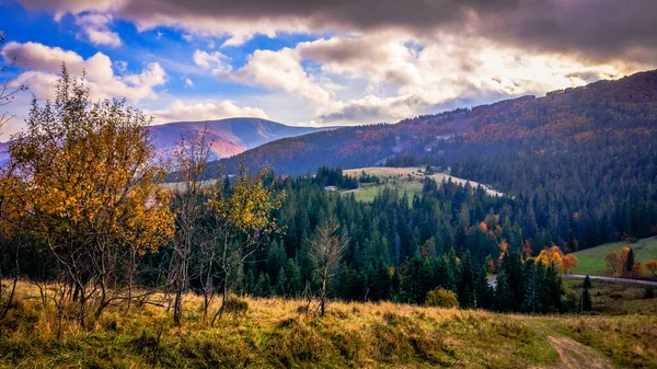 Ландшафти Осінніх Карпат — стокове фото