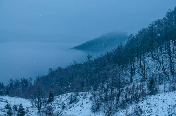 Winter Carpathians — Stock Photo, Image