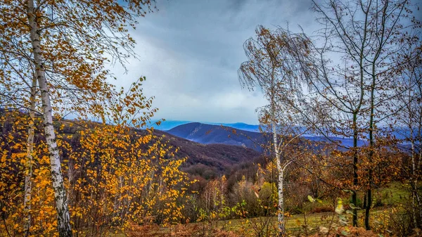 Ландшафти Осінніх Карпат — стокове фото