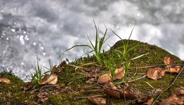 Horská Řeka Jaře — Stock fotografie