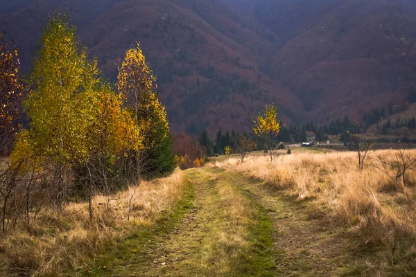 Paisagens Outono Montanhas Cárpatas — Fotografia de Stock