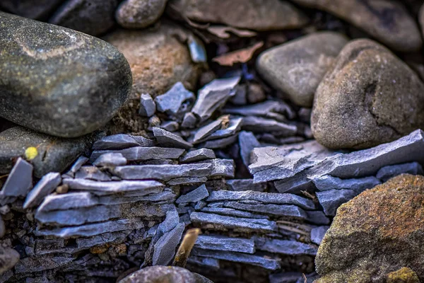 Vida Morta Metafórica Reserva — Fotografia de Stock