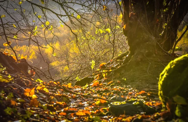 Krajobraz Zwany Oknem Jesiennym — Zdjęcie stockowe