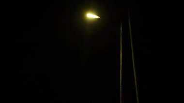 Yapraklar fenerin arka planına düşer.