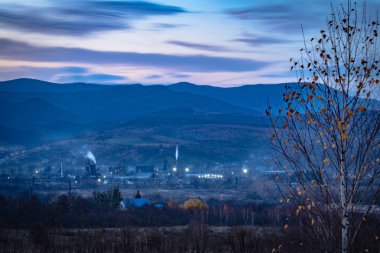 Çalışan bir bitkiyle manzara