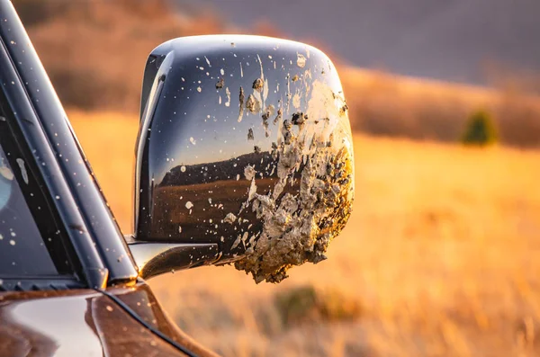 Suv Travels Carpathians — Stock Photo, Image