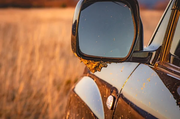 Suv Travels Carpathians — Stock Photo, Image