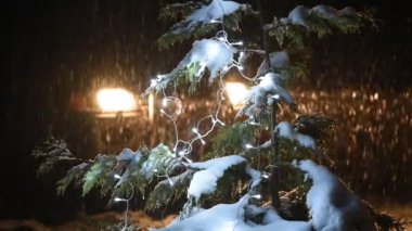 Kış gecesinde yumuşak kar yağışıweather forecast