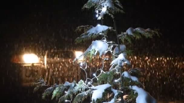 Pluizige Sneeuw Een Winternacht — Stockvideo