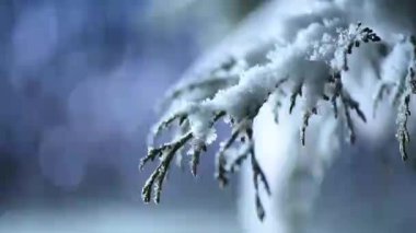 Kış gecesinde yumuşak kar yağışıweather forecast