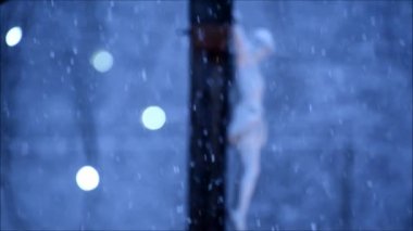 Kar altında yalnız 