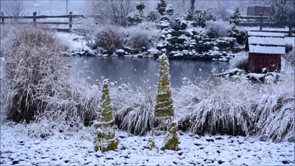 Soirée Noël Tranquille Chute Neige — Video