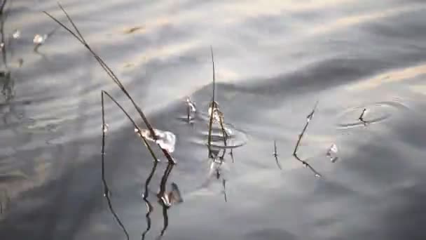 Imagen Del Agua Sol Atardecer — Vídeo de stock