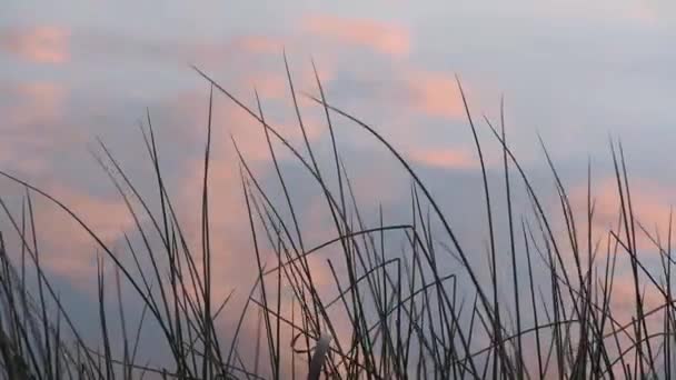 Изображение Воды Солнца Закате — стоковое видео