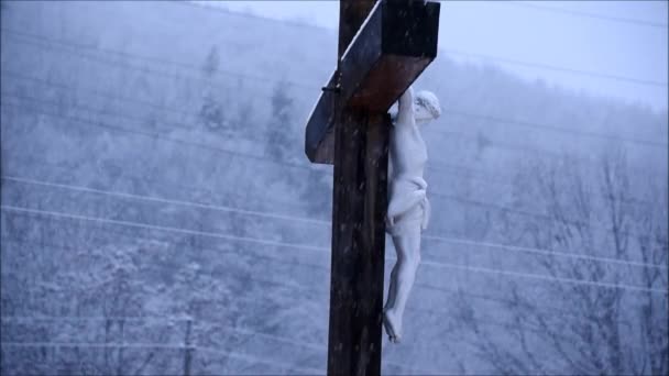 Sola Bajo Nieve — Vídeos de Stock