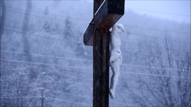 Kar Altında Yalnız — Stok video