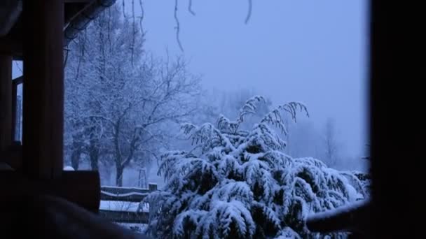 Nieve Esponjosa Una Noche Invierno — Vídeos de Stock