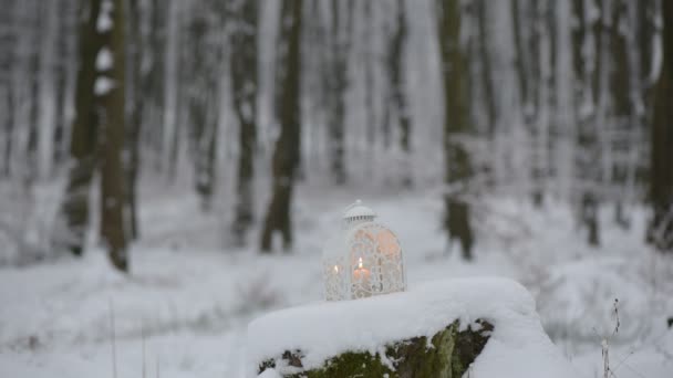 Pluizige Sneeuw Een Winternacht — Stockvideo