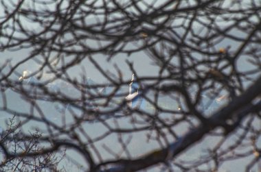 Kış Hatları adı verilen manzara