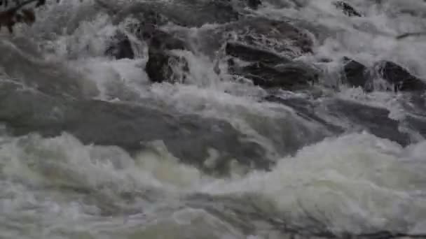 Rio Montanha Noite Inverno — Vídeo de Stock