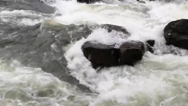 Ορεινός Ποταμός Χειμώνα Βράδυ — Αρχείο Βίντεο