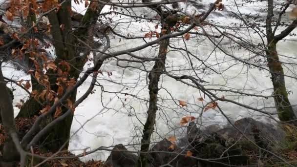 Montaña Río Invierno Noche — Vídeos de Stock