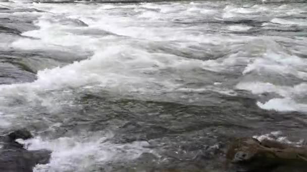 Dağ Nehri Kış Akşamı — Stok video