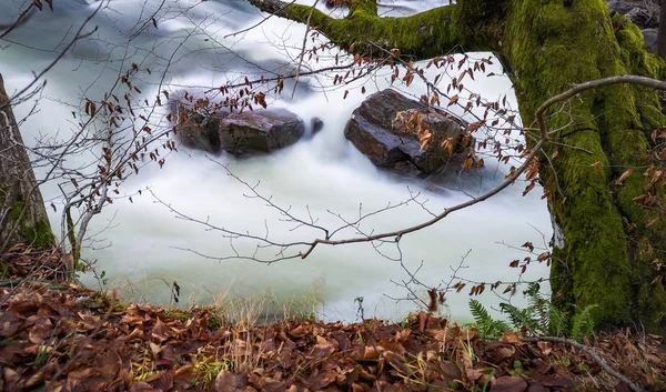 Fiume Montagna Sera Inverno — Foto Stock