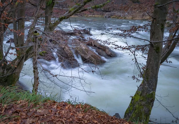 Mountain River Winter Evening — Stock Photo, Image