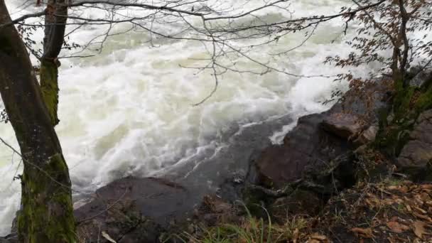 Montaña Río Invierno Noche — Vídeo de stock