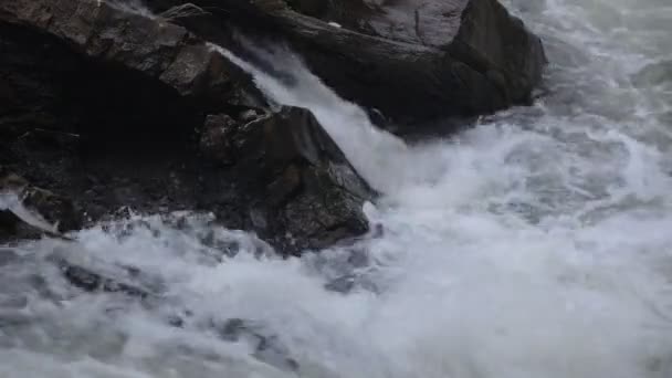 Горная Река — стоковое видео