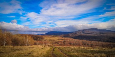 Sunny Transcarpathian denilen manzara 