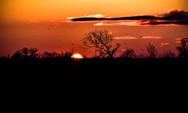 Захід Сонця Іроні — стокове фото