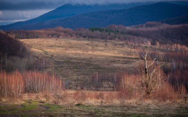 Karpatlar gün batımı