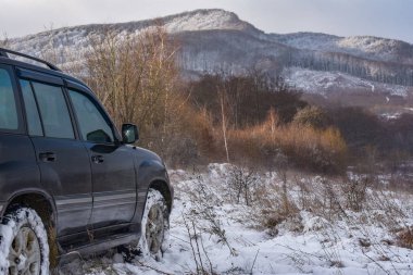 SUV kışın Karpatlar 'da seyahat eder.