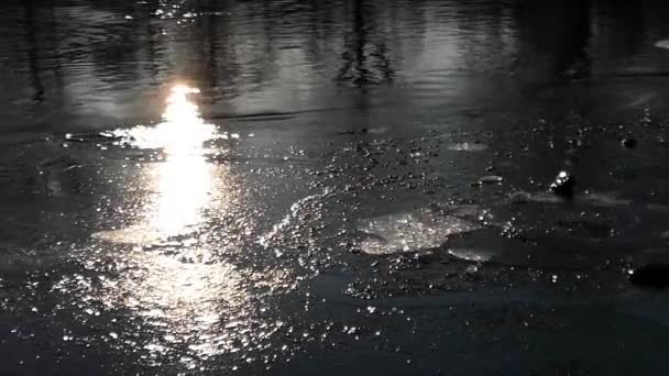 Πάγος Και Ήλιος Ένα Ποτάμι Του Βουνού — Αρχείο Βίντεο