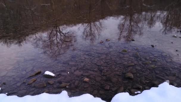 Paisaje Invierno Cárpatos Por Noche — Vídeo de stock