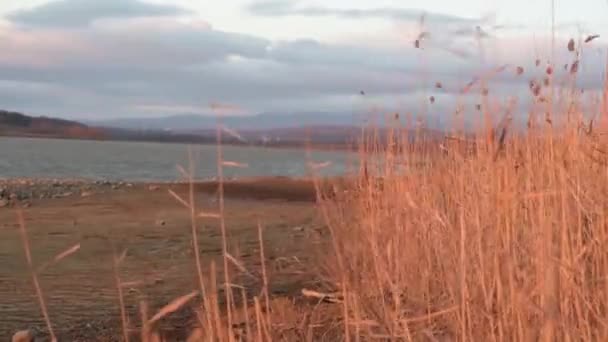 Pôr Sol Lago Inverno — Vídeo de Stock