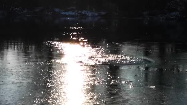 Eis Und Sonne Auf Einem Gebirgsfluss — Stockvideo