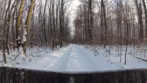 Подорожі Позашляховиків Карпатах — стокове відео