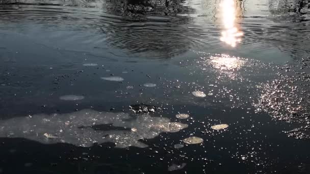 Glace Soleil Sur Une Rivière Montagne — Video