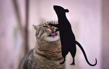 Ryska sabırsızlanıyor. 