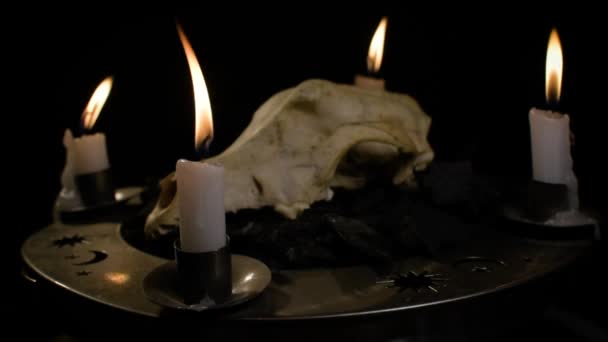 Metaphorical Still Life Occult Symbols — Stock Video